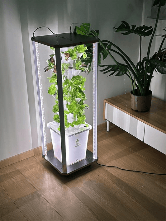 10 Best Vegetables and Herbs for Hydroponic Gardening: From Lettuce to Strawberries