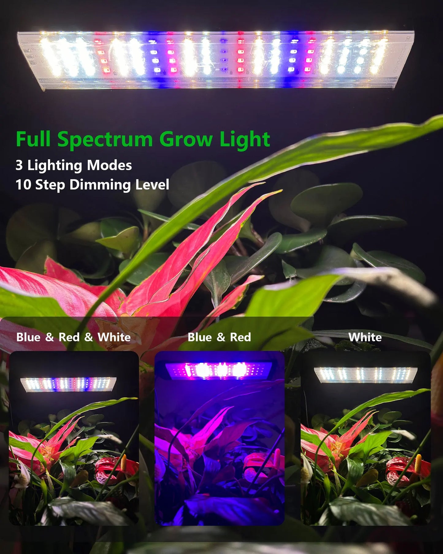 DPROOTS Garden W6 Plant Planter-6 Pods Grow Light Wall System - DPROOTS