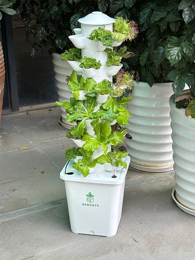 DPROOTS Garden T6C Hydroponic Tower-30 Pods Plant System - DPROOTS