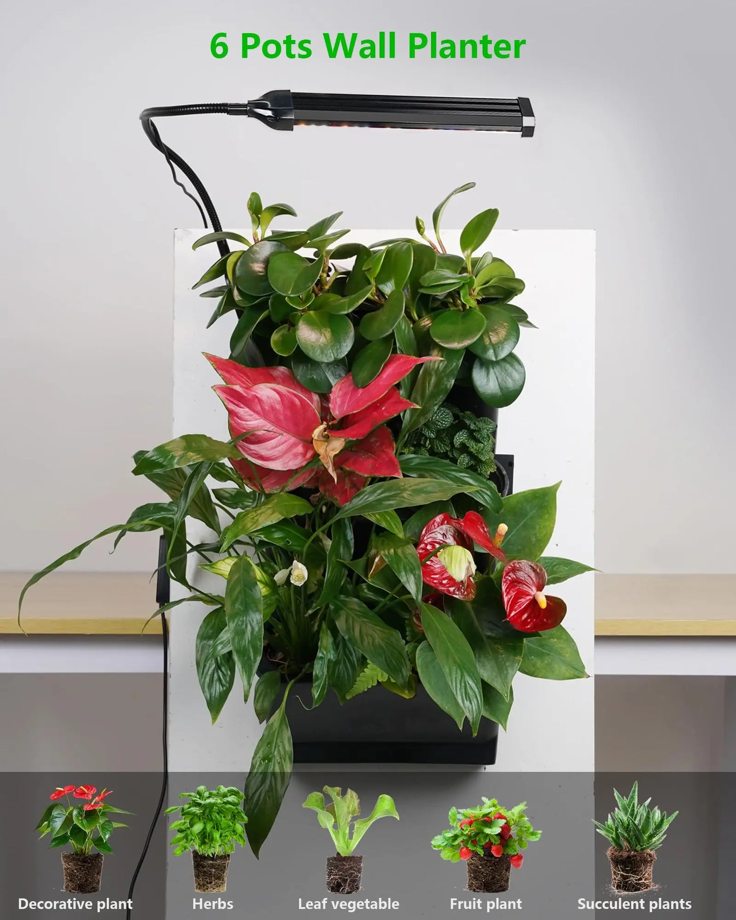 DPROOTS Garden W6 Plant Planter-6 Pods Grow Light Wall System - DPROOTS