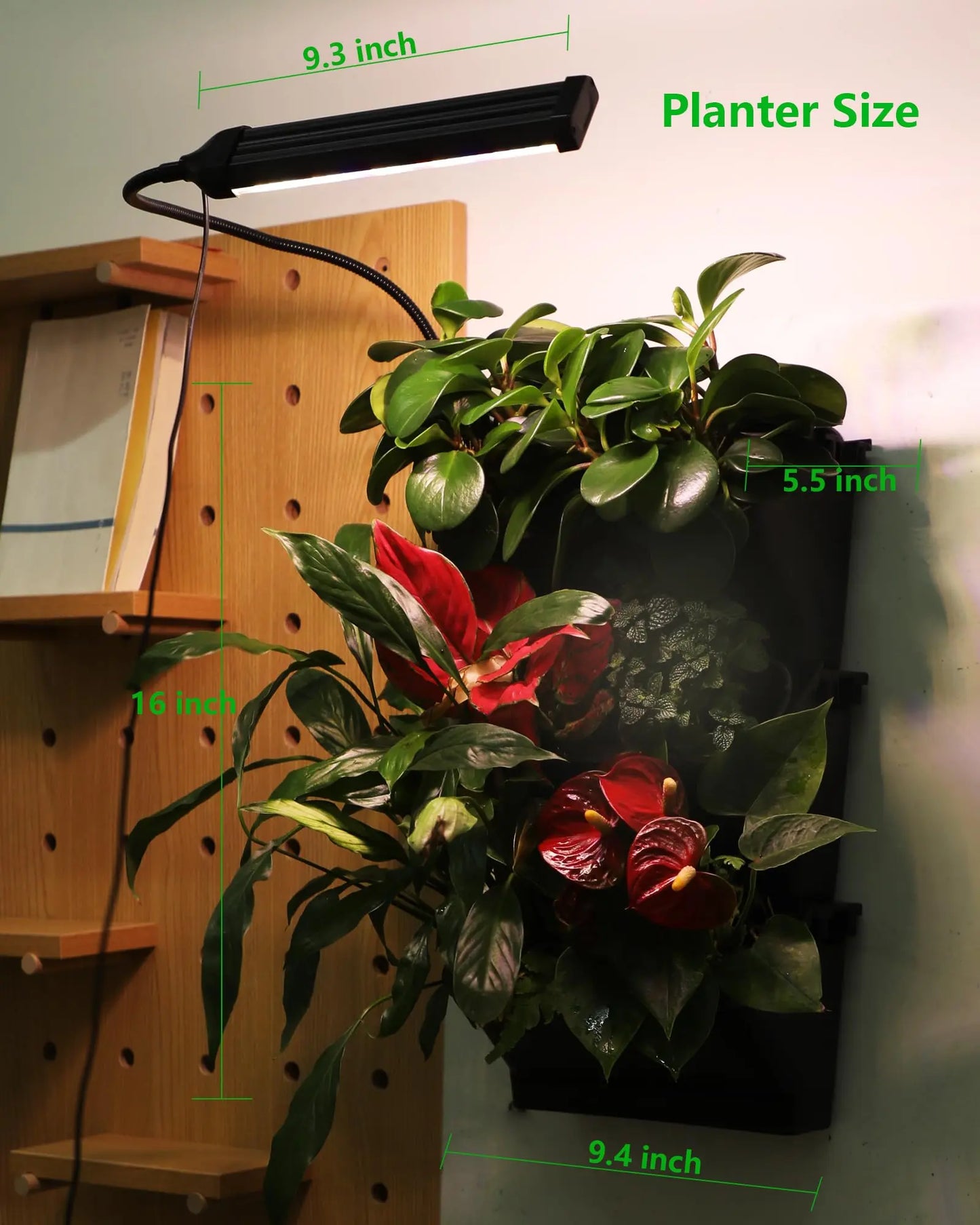 DPROOTS Garden W6 Plant Planter-6 Pods Grow Light Wall System - DPROOTS