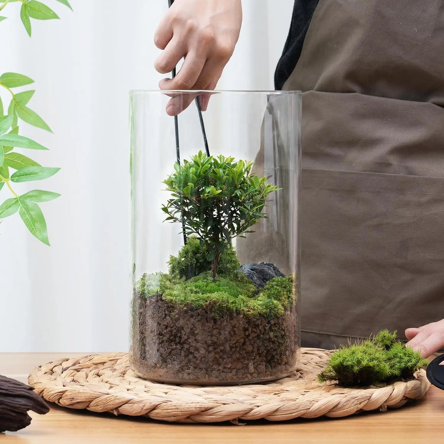 Micro Landscape Ecological Desktop Glass Plant Terrarium with Grow Light - DPROOTS