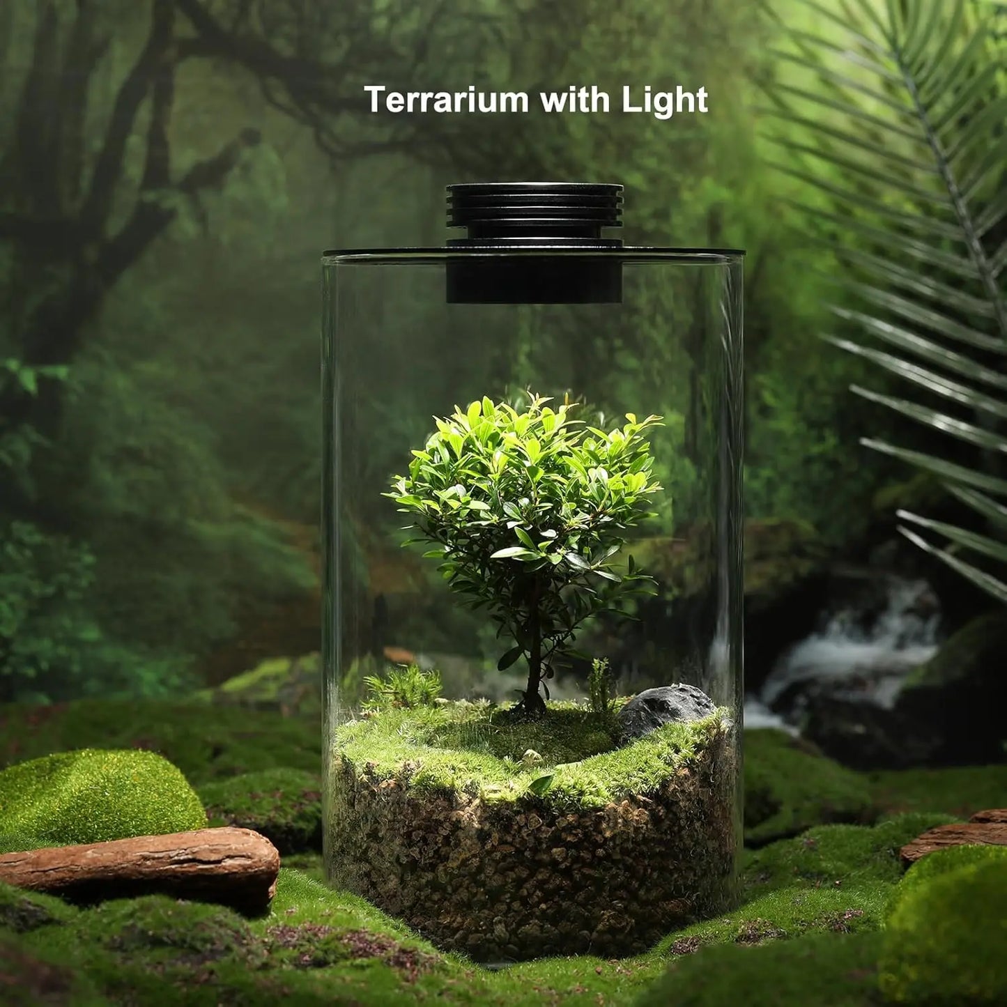Micro Landscape Ecological Desktop Glass Plant Terrarium with Grow Light - DPROOTS