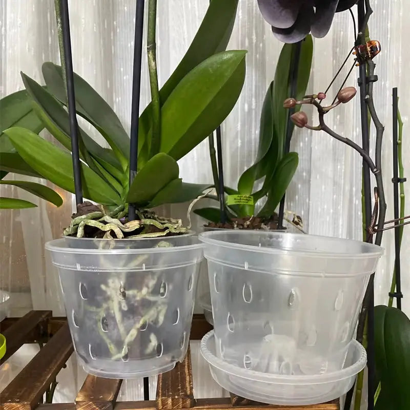 5 Pack Clear Orchid Pots with Holes,Orchid Pots for Repotting, Plastic Orchid Planter Breathable Slotted Flower Plant Nursery Pot - DPROOTS