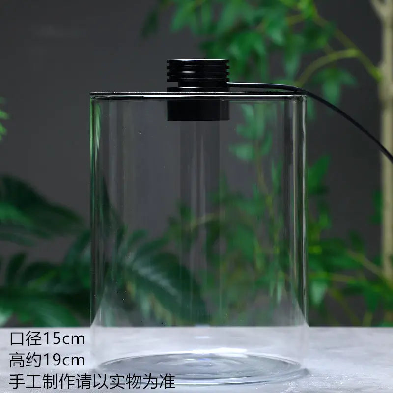 Micro Landscape Ecological Desktop Glass Plant Terrarium with Grow Light DPROOTS Garden