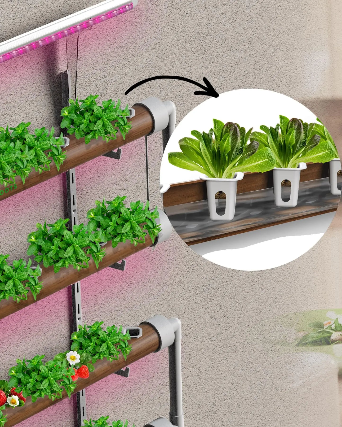 DPROOTS Garden 150PCS Sponges and 40PCS Plant Basket for NFT Hydroponic Planting Grow Seed Starters