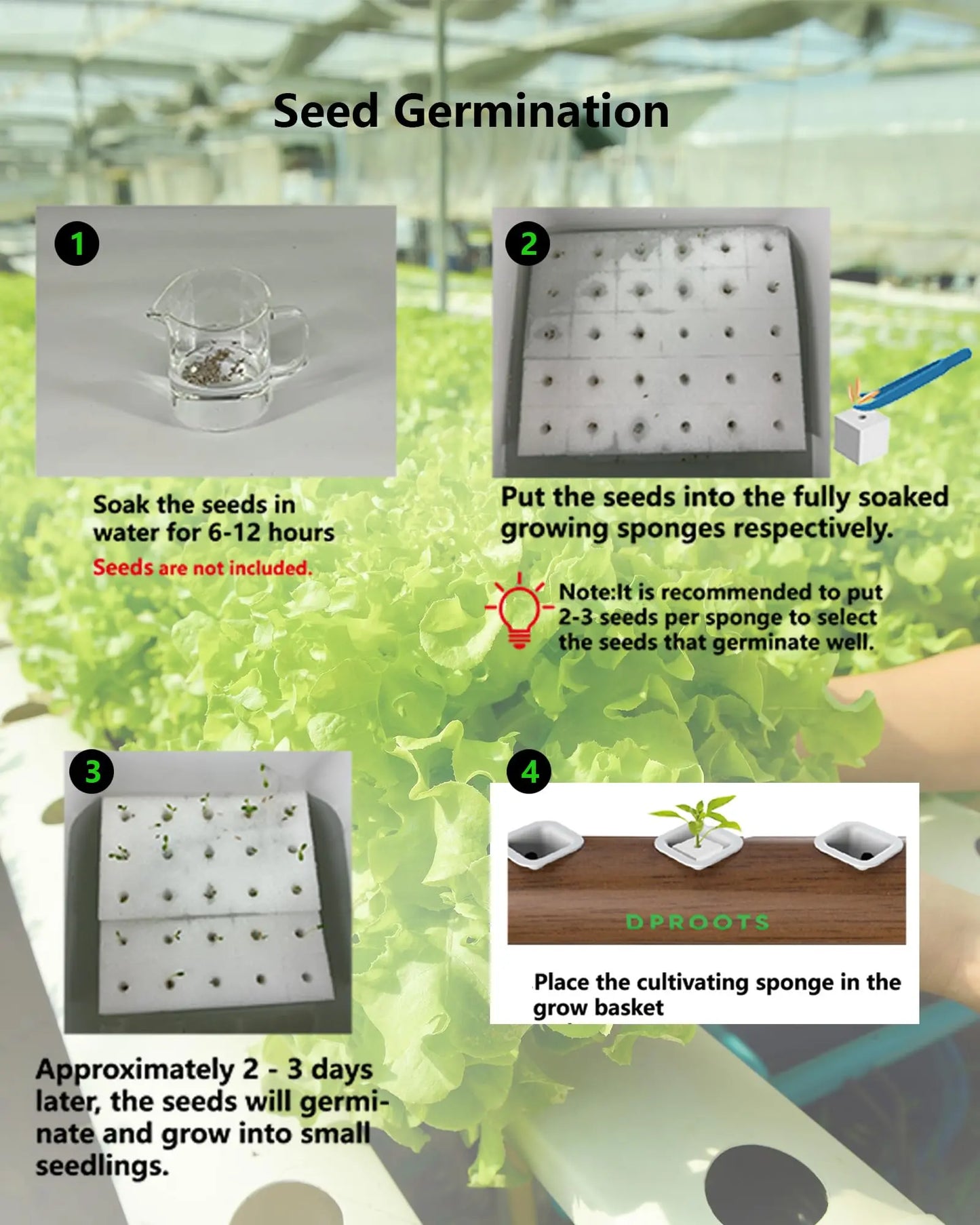 DPROOTS Garden 150PCS Sponges and 40PCS Plant Basket for NFT Hydroponic Planting Grow Seed Starters