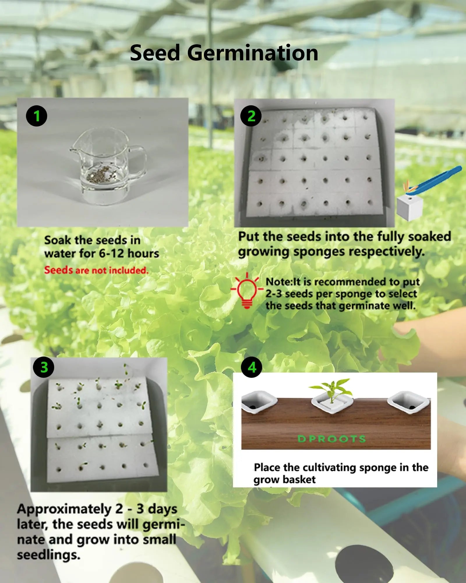 DPROOTS Garden 150PCS Sponges and 40PCS Plant Basket for NFT Hydroponic Planting Grow Seed Starters DPROOTS Garden