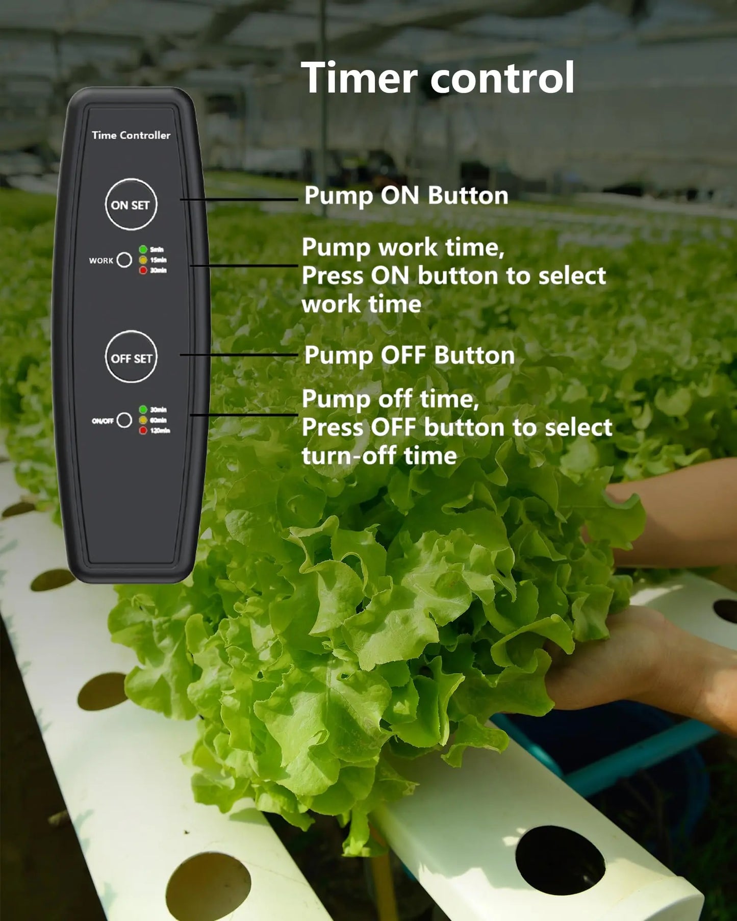 DPROOTS Garden 211GPH 12V DC 20W Submersible Water Pump with Timer Adaptor DPROOTS Garden