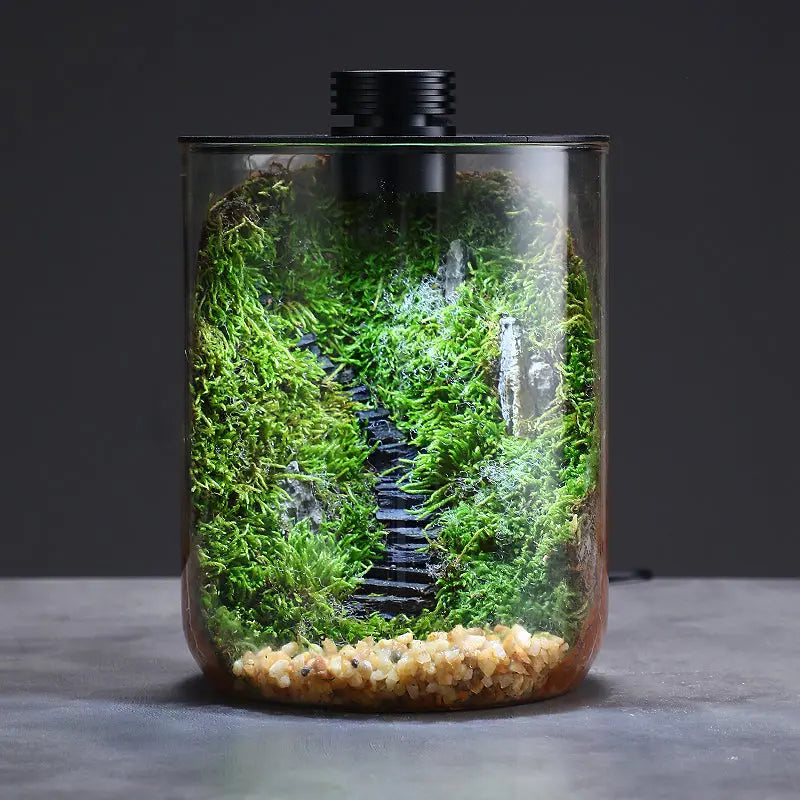 Micro Landscape Ecological Desktop Glass Plant Terrarium with Grow Light - DPROOTS