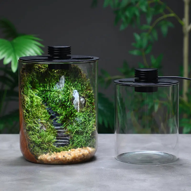Micro Landscape Ecological Desktop Glass Plant Terrarium with Grow Light - DPROOTS