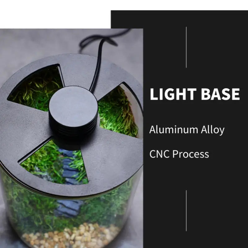 Micro Landscape Ecological Desktop Glass Plant Terrarium with Grow Light DPROOTS Garden