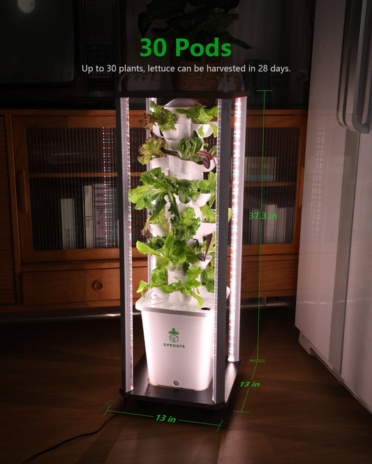 3x Faster Indoor Hydroponic Growing Systems With LED