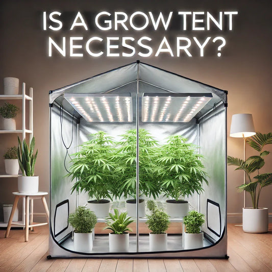 Does Your Hydroponic System Need a Grow Tent? Why DPROOTS Works Without One