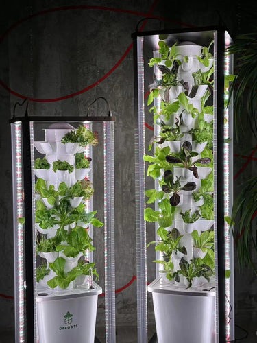 Why do you need the DPROOTS hydroponic system?