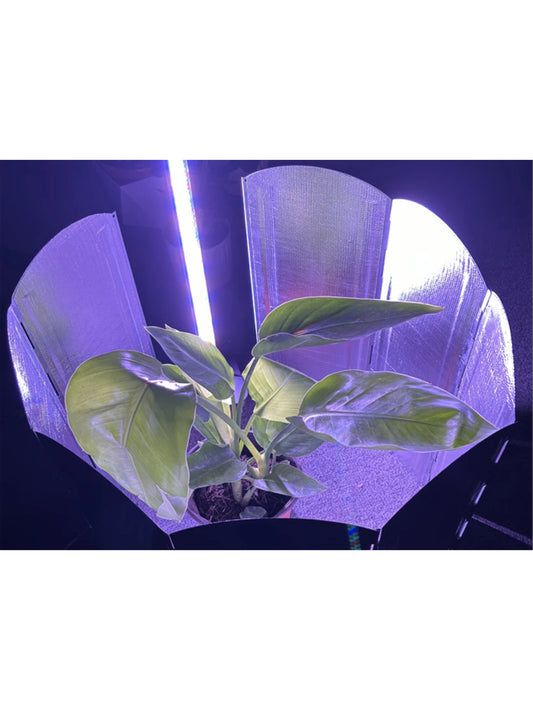 Maximize Your Hydroponic Growth with DPROOTS Reflective Panel: 92% Light Reflection for Faster, Healthier Plants