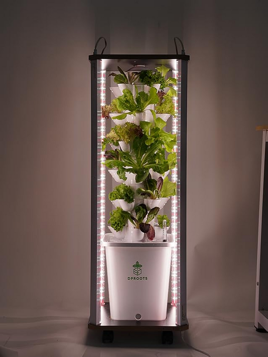 Why Do Fewer People Grow Vegetables in Winter? How the DPROOTS Hydroponic Tower Solves Winter Growing Challenges