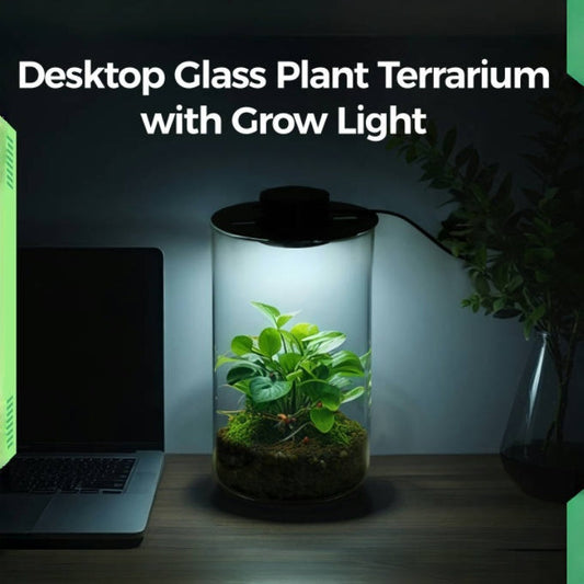 Transform Your Space with a Micro Landscape Terrarium with Grow Light – A Perfect Desktop Ecosystem