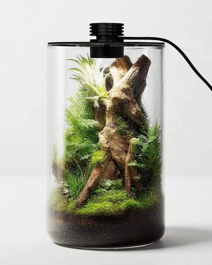 DPROOTS Garden Micro Landscape Ecological Desktop Glass Plant Terrarium with Timer&Grow Light