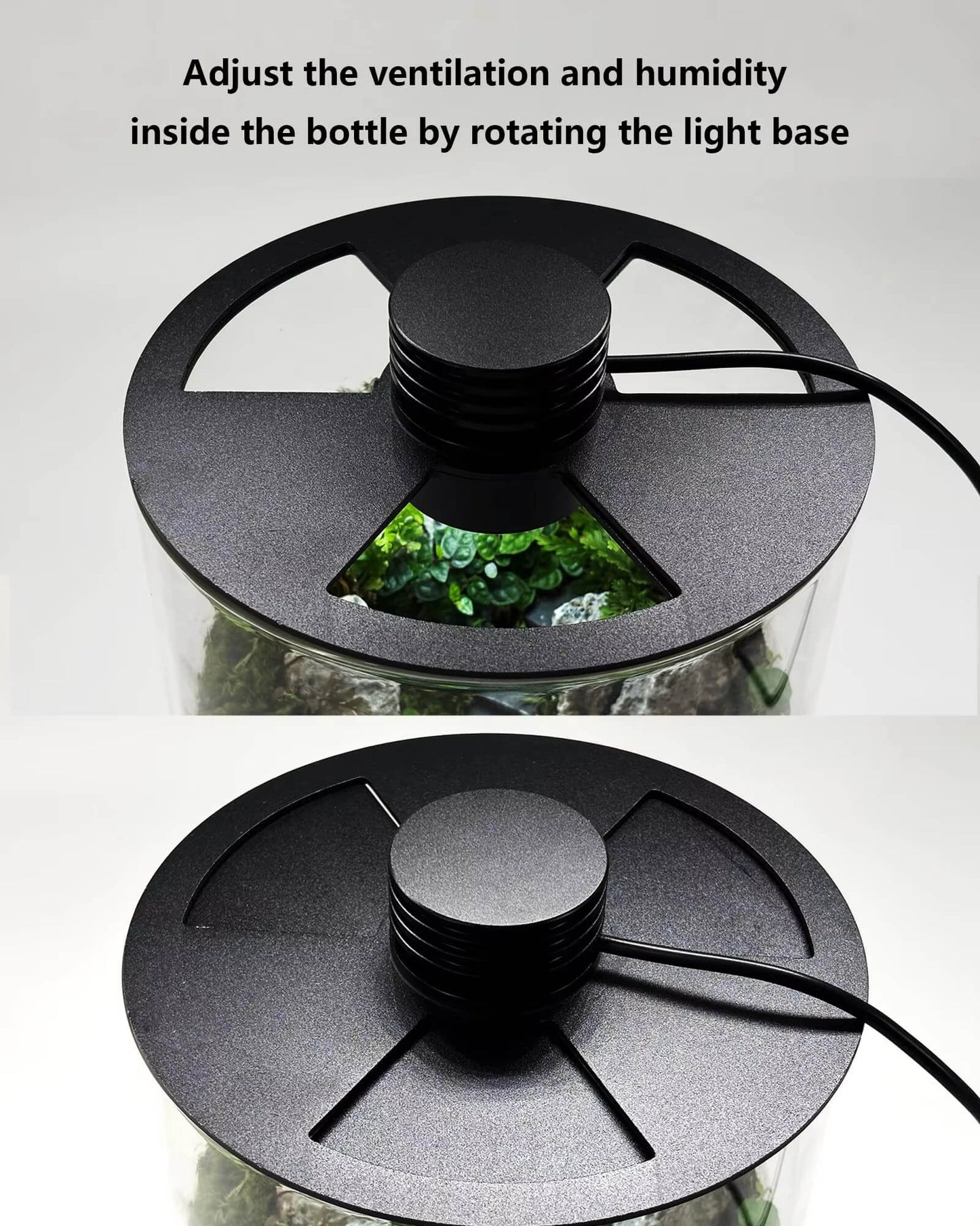 DPROOTS Garden Micro Landscape Ecological Desktop Glass Plant Terrarium with Timer&Grow Light