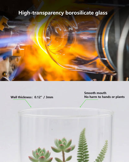 DPROOTS Garden Micro Landscape Ecological Desktop Glass Plant Terrarium with Timer&Grow Light