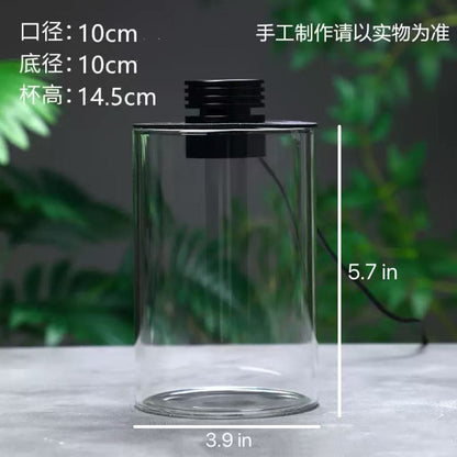 Micro Landscape Ecological Desktop Glass Plant Terrarium with Grow Light