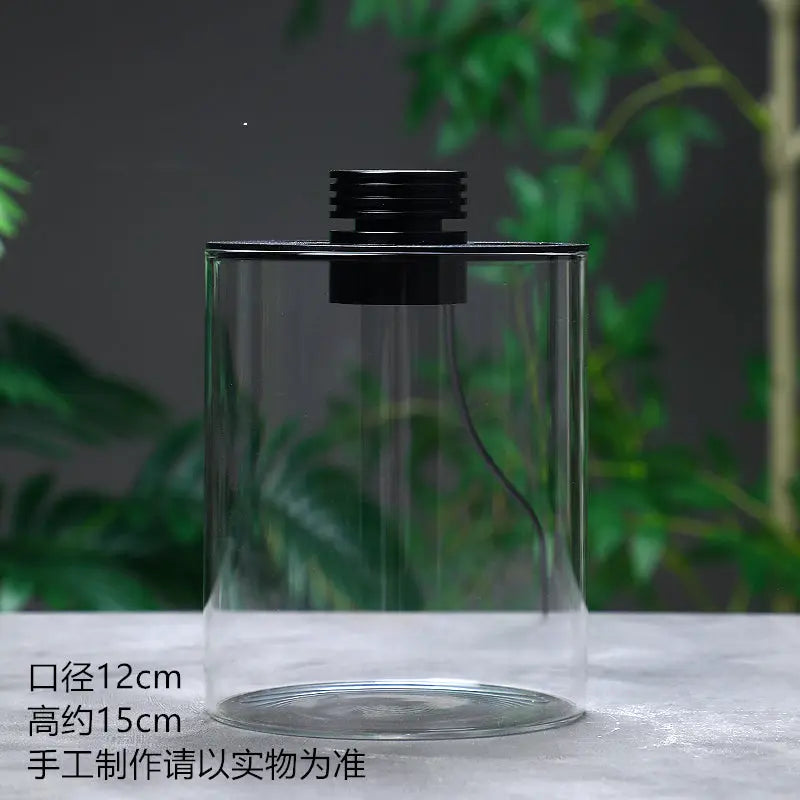 Micro Landscape Ecological Desktop Glass Plant Terrarium with Grow Light DPROOTS Garden