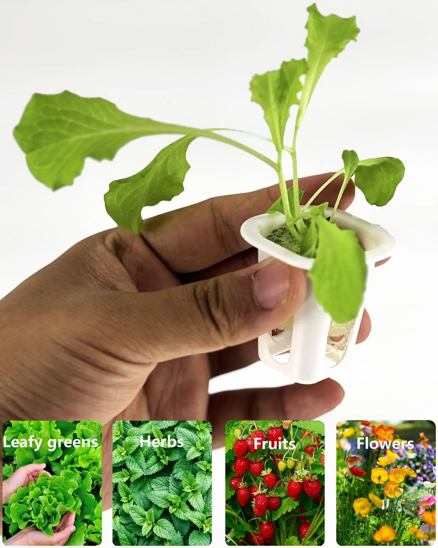 DPROOTS Garden 150PCS Sponges and 40PCS Plant Basket for NFT Hydroponic Planting Grow Seed Starters