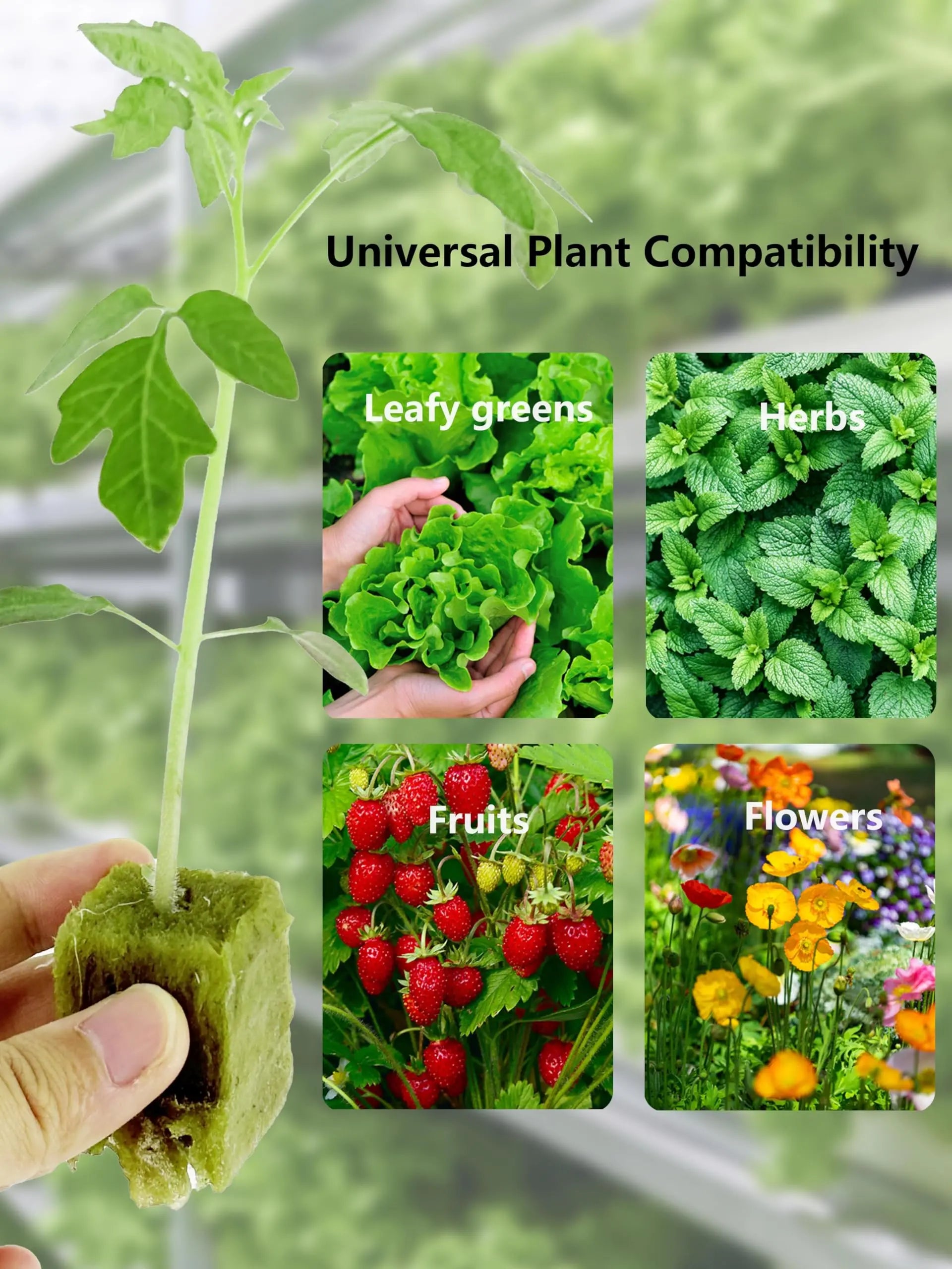 DPROOTS Garden 96PCS Rockwool Cubes for Hydroponic Planting Grow Seed Starters DPROOTS Garden
