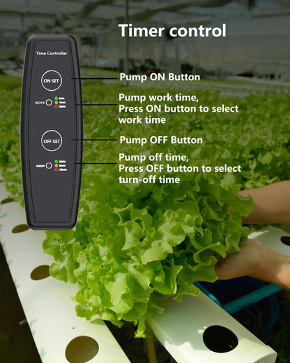 DPROOTS Garden 211GPH 12V DC 20W Submersible Water Pump with Timer Adaptor