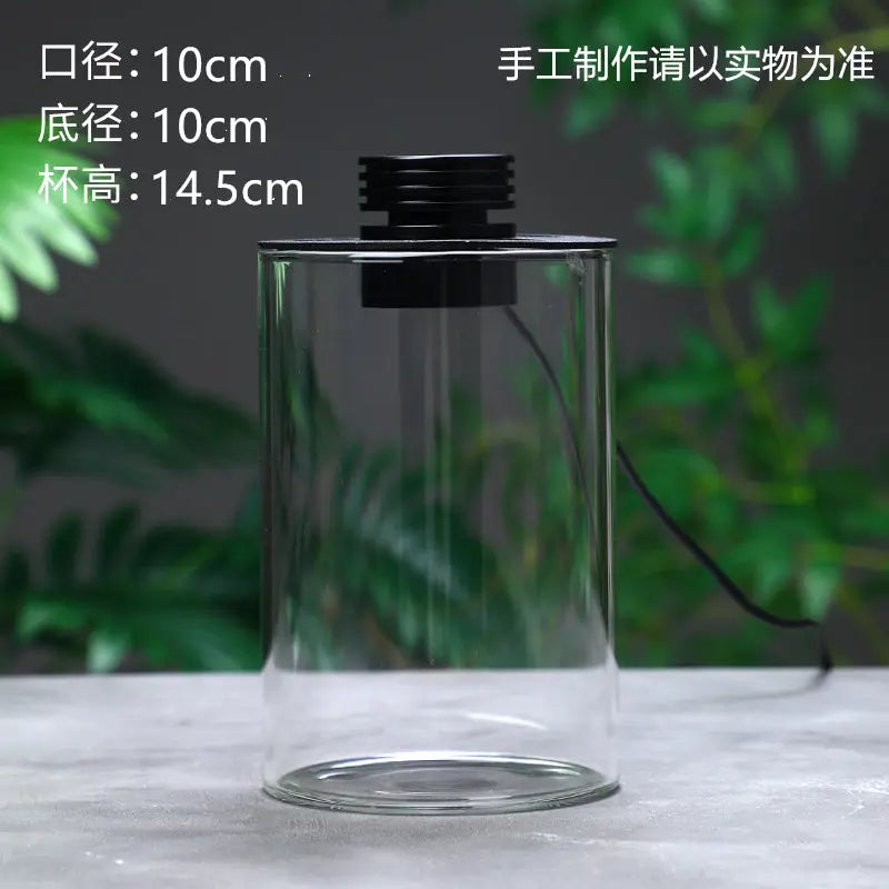 Micro Landscape Ecological Desktop Glass Plant Terrarium with Grow Light DPROOTS Garden