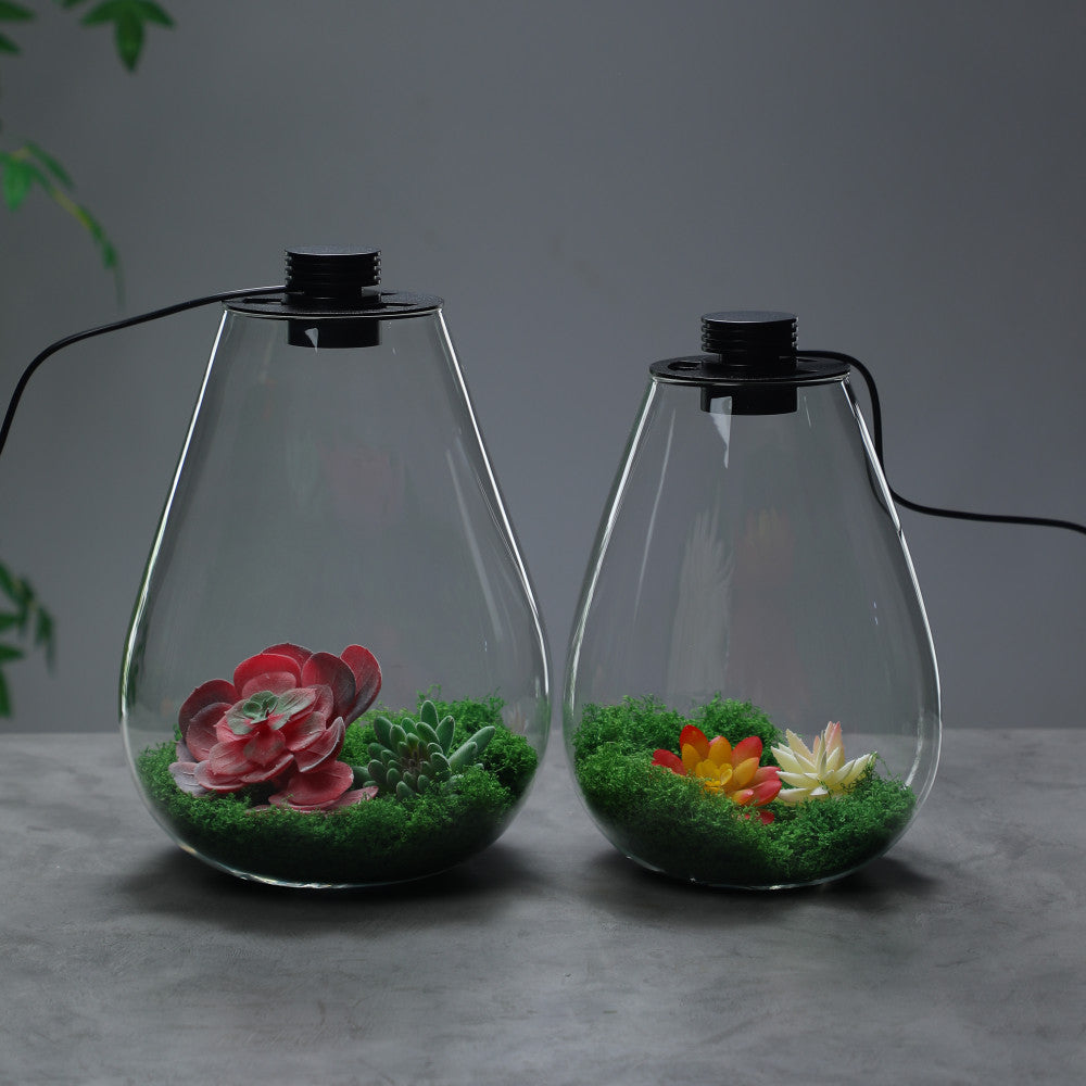 DPROOTS Garden Teardrop Bottle Micro Landscape Ecological Desktop Plant Terrarium with Grow Light