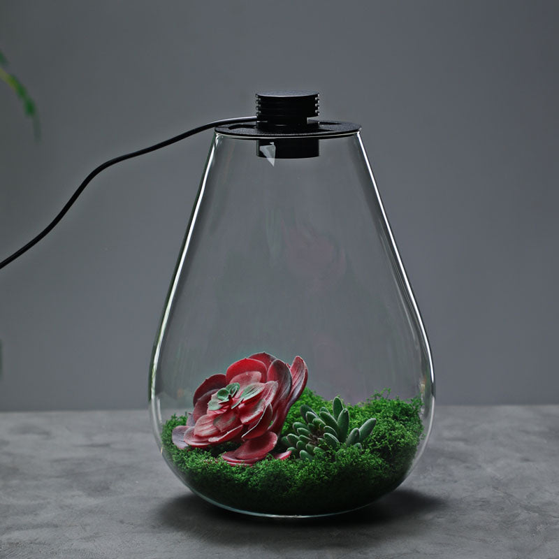 DPROOTS Garden Teardrop Bottle Micro Landscape Ecological Desktop Plant Terrarium with Grow Light