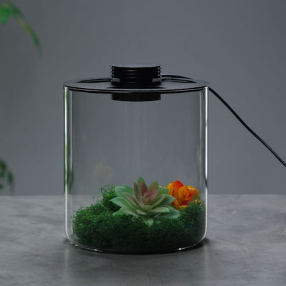 DPROOTS Garden Teardrop Bottle Micro Landscape Ecological Desktop Plant Terrarium with Grow Light