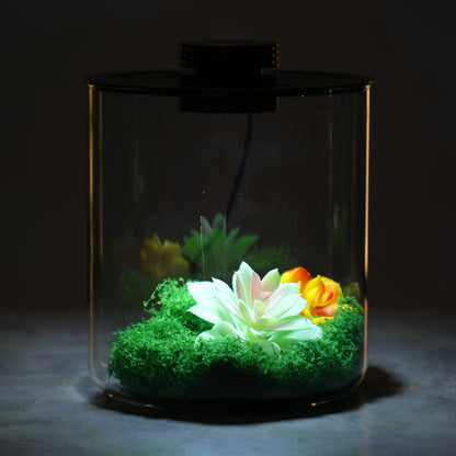 DPROOTS Garden Teardrop Bottle Micro Landscape Ecological Desktop Plant Terrarium with Grow Light