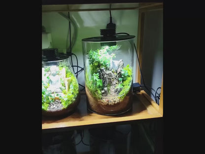 DPROOTS Garden Micro Landscape Ecological Desktop Glass Plant Terrarium with Timer&Grow Light