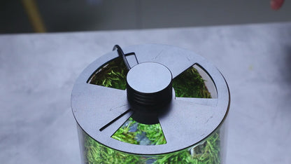 Micro Landscape Ecological Desktop Glass Plant Terrarium with Grow Light
